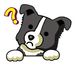 I Love Border Collie3 sticker #4977481