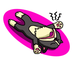 I Love Border Collie3 sticker #4977483