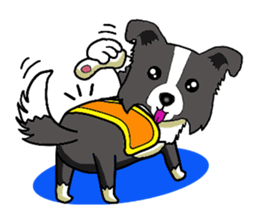 I Love Border Collie3 sticker #4977504