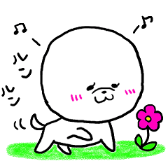 white cute dog Part2