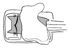 Hige-nyafu sticker #4980013