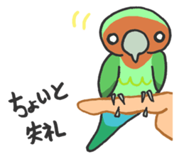 cozzack dance sticker #4985274