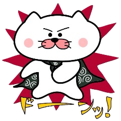 Furoshiki nyanko Matsukichi 6