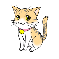 Daily tiger pattern of cat and family