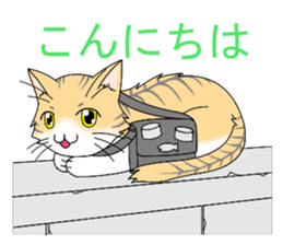 Daily tiger pattern of cat and family sticker #4985919