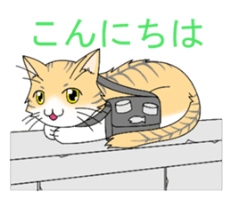 Daily tiger pattern of cat and family sticker #4985919