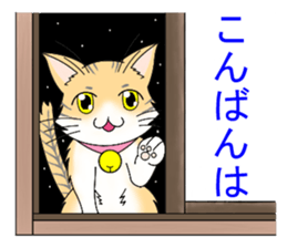 Daily tiger pattern of cat and family sticker #4985920