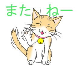 Daily tiger pattern of cat and family sticker #4985922