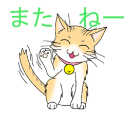 Daily tiger pattern of cat and family sticker #4985922