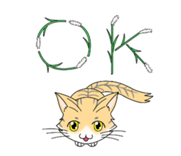 Daily tiger pattern of cat and family sticker #4985929