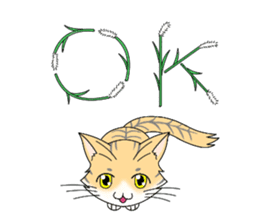 Daily tiger pattern of cat and family sticker #4985929