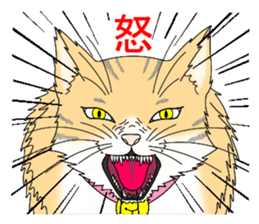 Daily tiger pattern of cat and family sticker #4985930