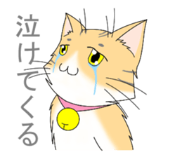 Daily tiger pattern of cat and family sticker #4985933