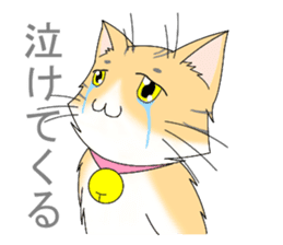 Daily tiger pattern of cat and family sticker #4985933