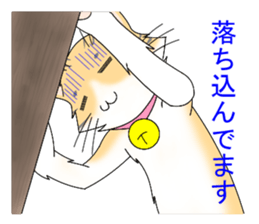 Daily tiger pattern of cat and family sticker #4985944