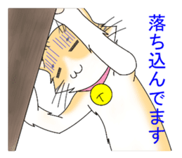 Daily tiger pattern of cat and family sticker #4985944