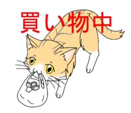 Daily tiger pattern of cat and family sticker #4985948