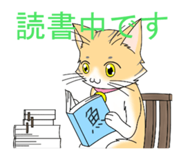 Daily tiger pattern of cat and family sticker #4985949