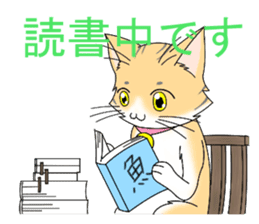 Daily tiger pattern of cat and family sticker #4985949