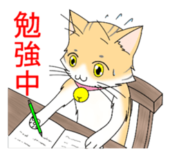 Daily tiger pattern of cat and family sticker #4985950