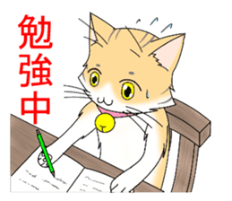 Daily tiger pattern of cat and family sticker #4985950