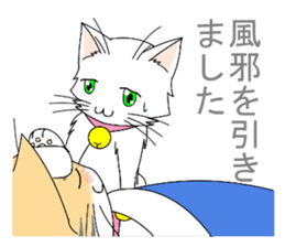 Daily tiger pattern of cat and family sticker #4985954