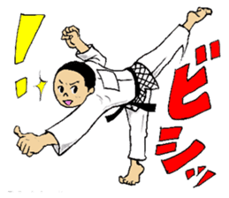 Shine! Judo boy sticker #4991038