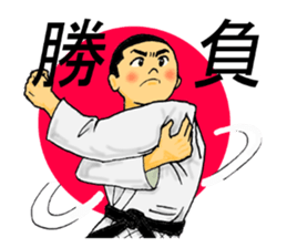 Shine! Judo boy sticker #4991050