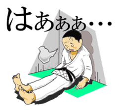 Shine! Judo boy sticker #4991052