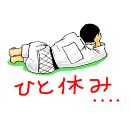 Shine! Judo boy sticker #4991064