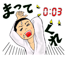 Shine! Judo boy sticker #4991070