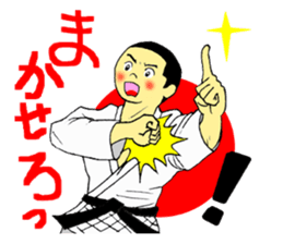 Shine! Judo boy sticker #4991072