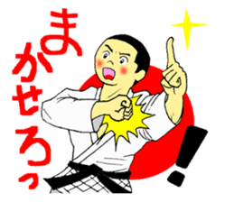 Shine! Judo boy sticker #4991072
