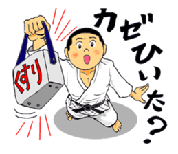 Shine! Judo boy sticker #4991074
