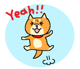 shibaken sticker -japanese dog- sticker #4992161