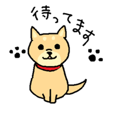 shibaken sticker -japanese dog- sticker #4992167