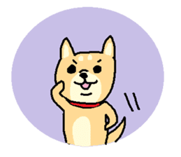 shibaken sticker -japanese dog- sticker #4992169