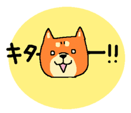 shibaken sticker -japanese dog- sticker #4992179