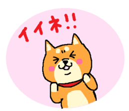 shibaken sticker -japanese dog- sticker #4992181