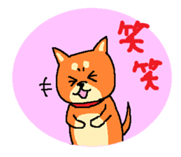 shibaken sticker -japanese dog- sticker #4992194