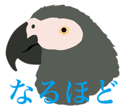 40 little birds sticker #4995703