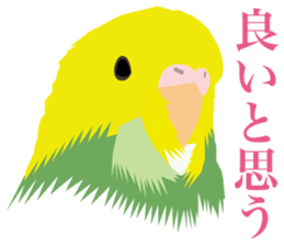 40 little birds sticker #4995705