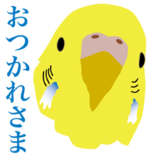 40 little birds sticker #4995706