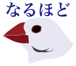 40 little birds sticker #4995709