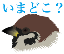 40 little birds sticker #4995711