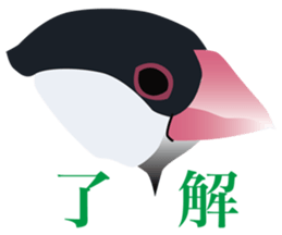 40 little birds sticker #4995712