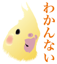 40 little birds sticker #4995713