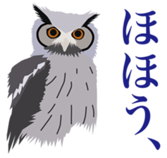 40 little birds sticker #4995715