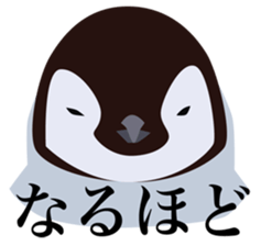 40 little birds sticker #4995717