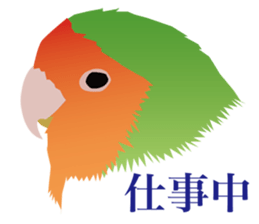 40 little birds sticker #4995725